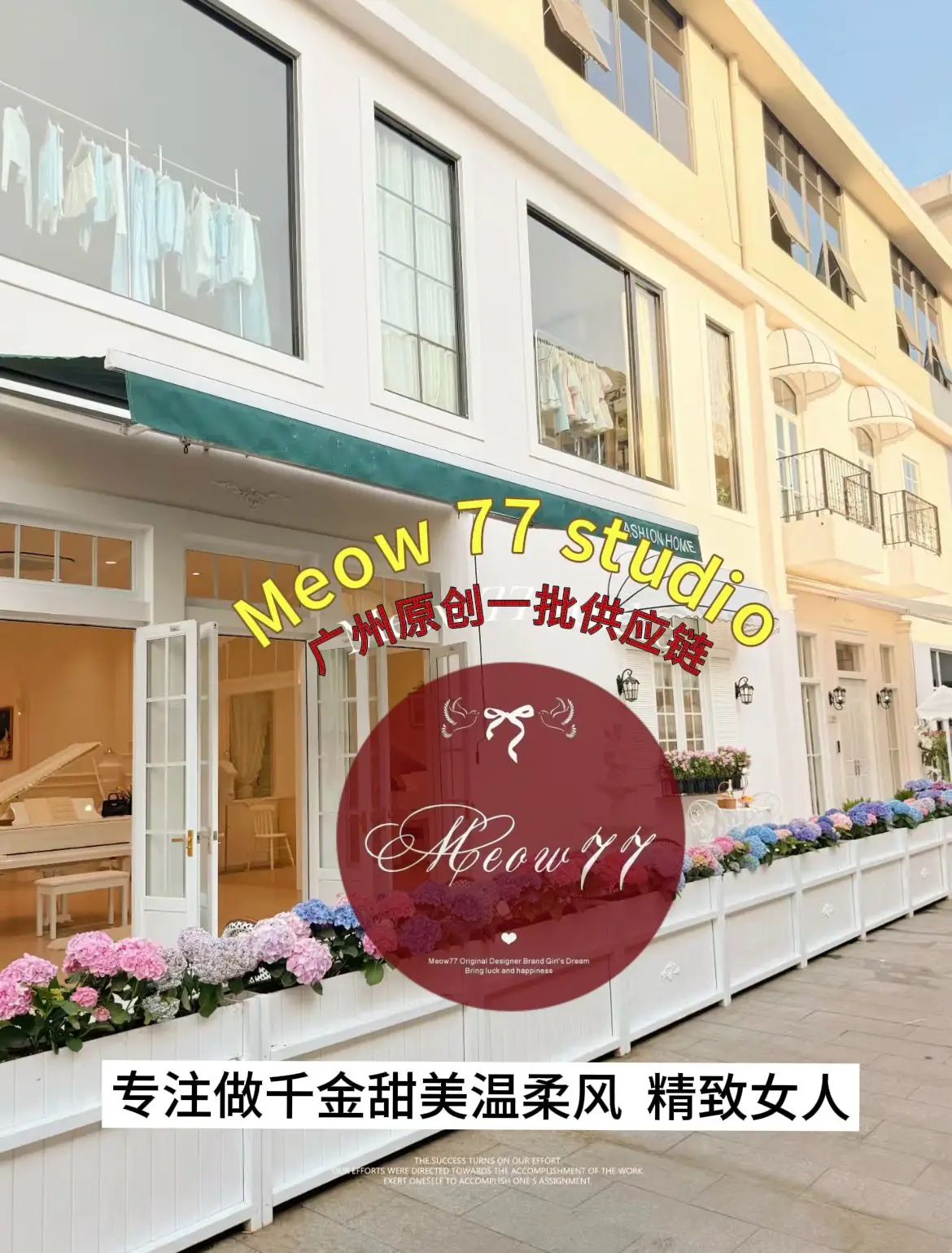 Meow77 Studio